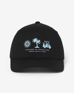 Palm Parade Snapback Hat